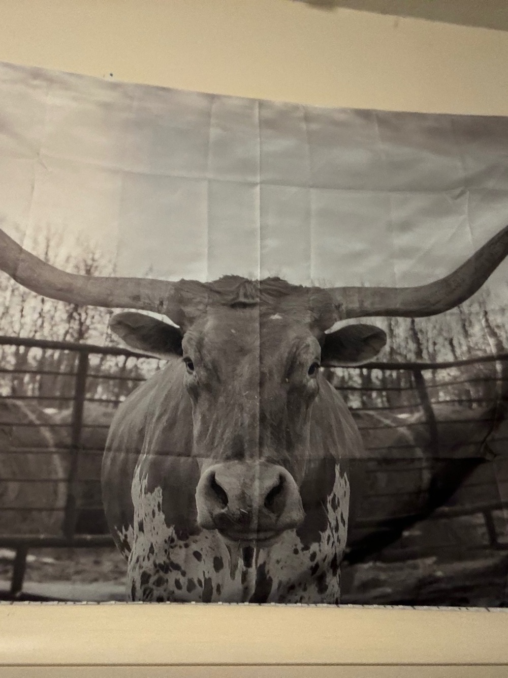 Cow longhorn tapestry